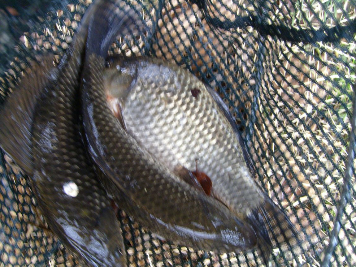 S7000860.JPG
