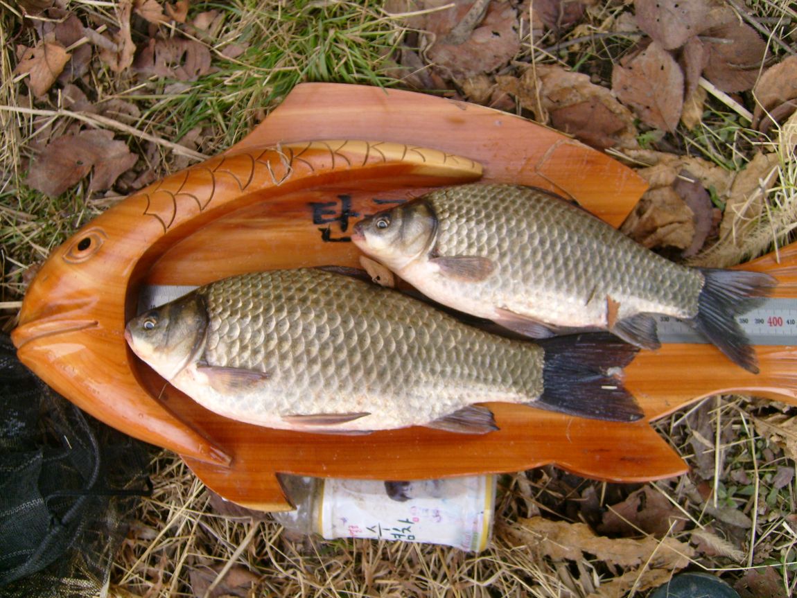 S7000858.JPG
