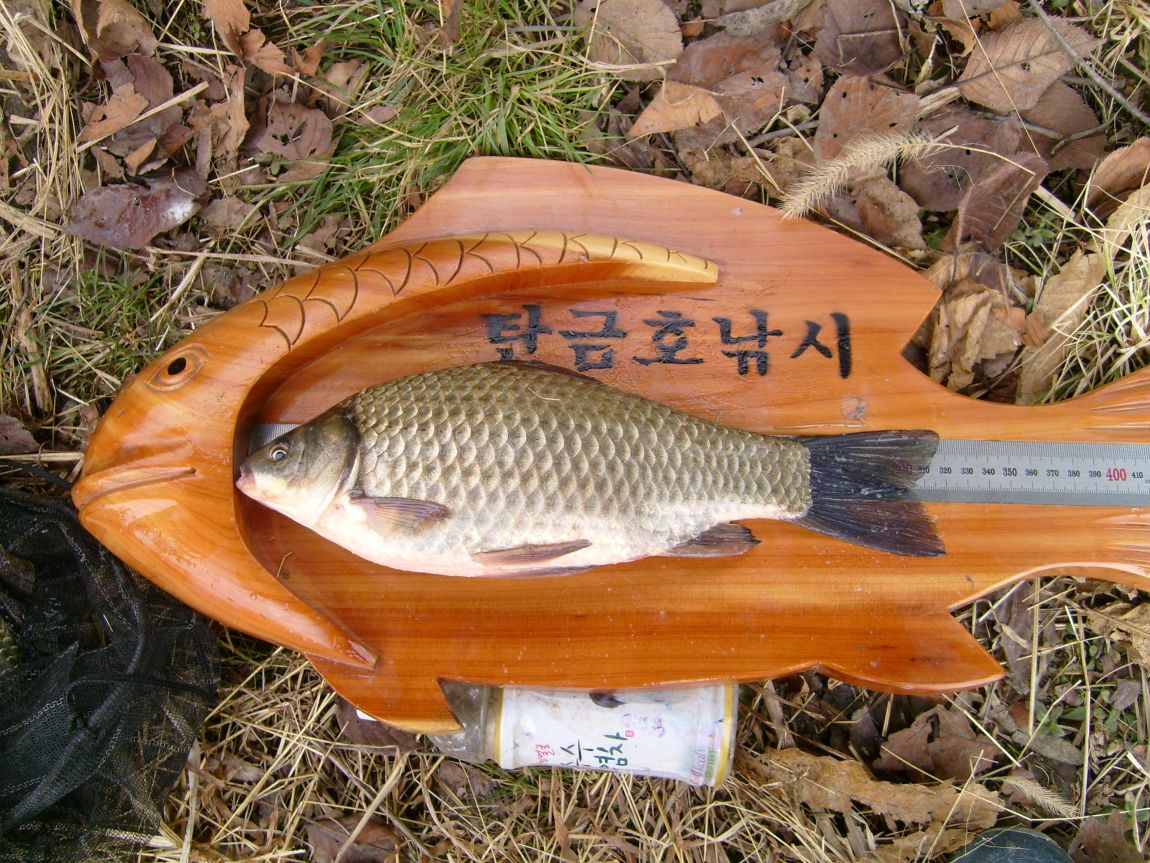 S7000855.JPG