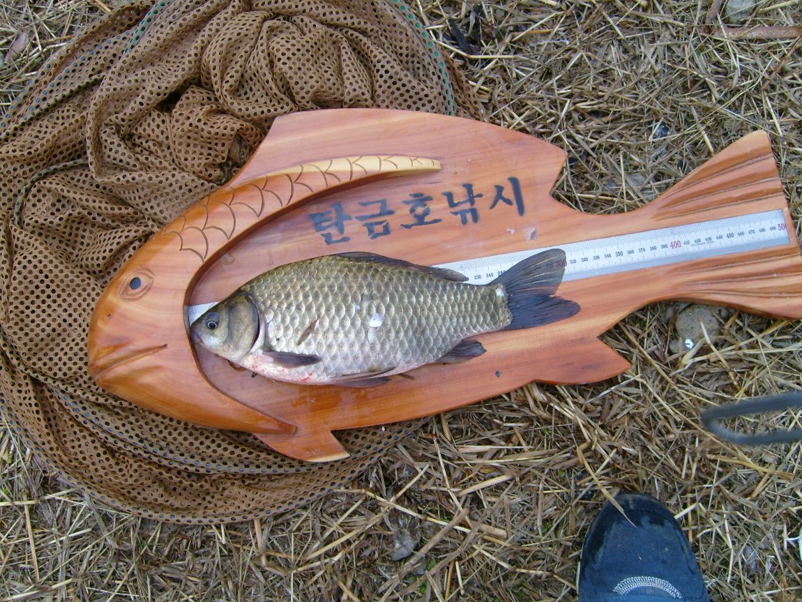 S7000791.JPG