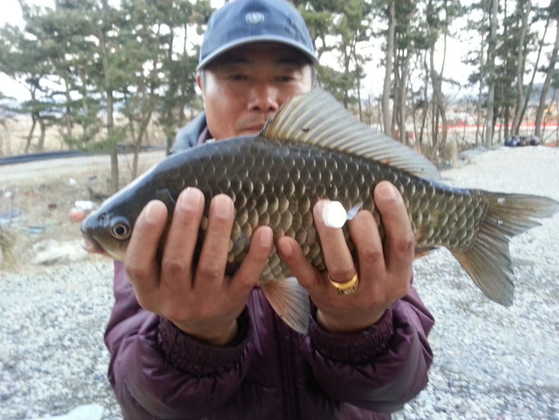 20150306_183006.jpg