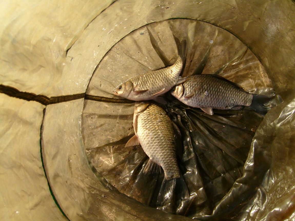 S7000984.JPG