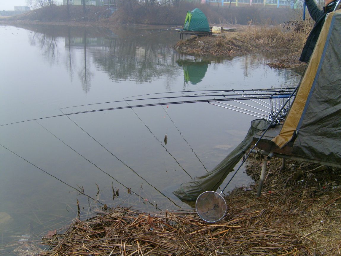 S7000986.JPG