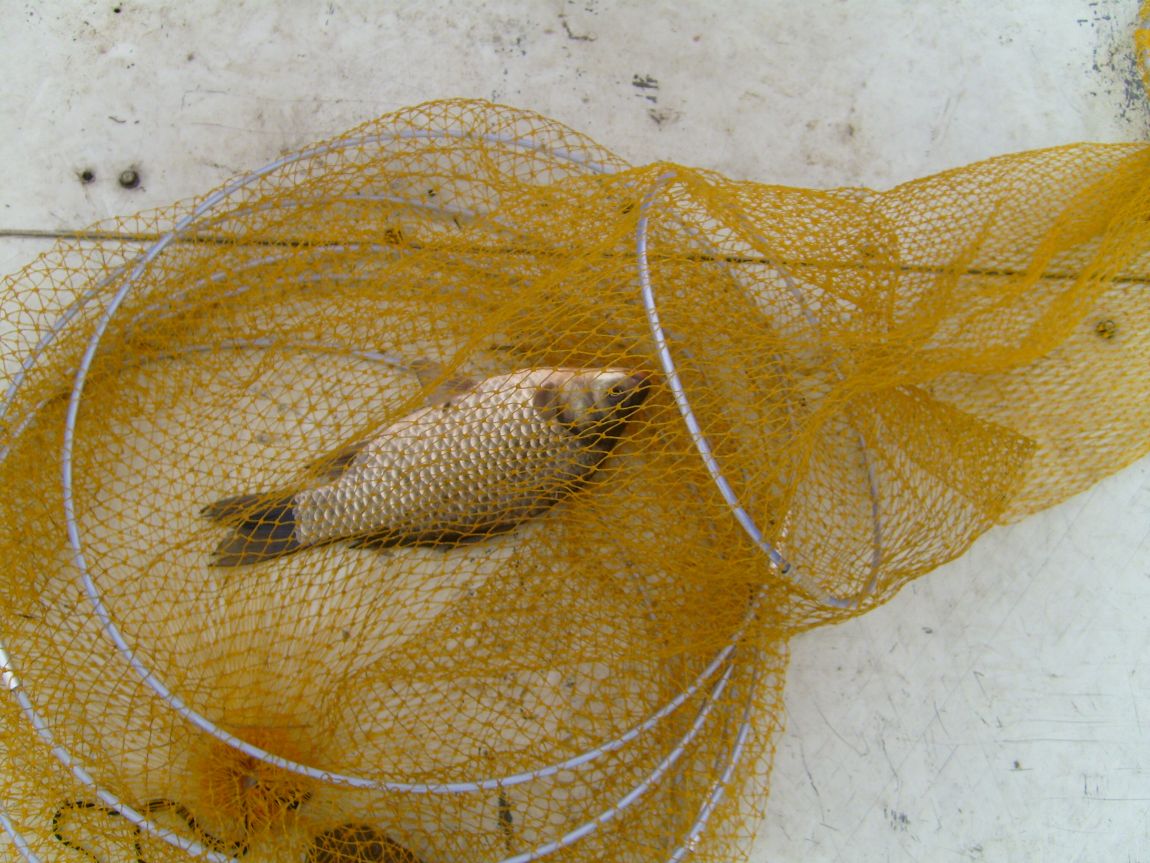 S7000995.JPG