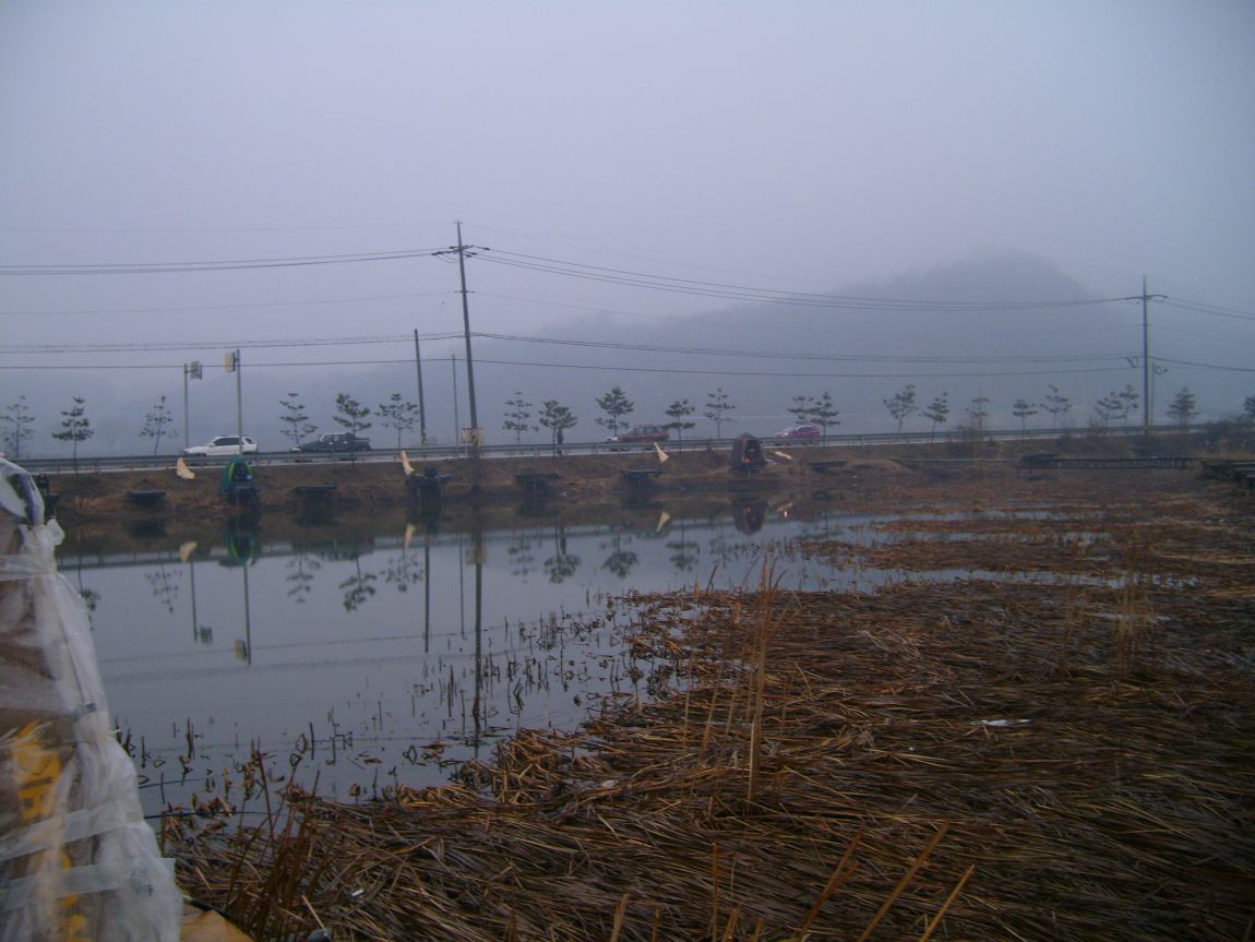 S7000996.JPG