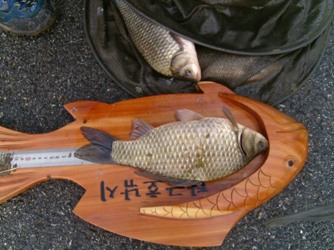 S7001001.JPG