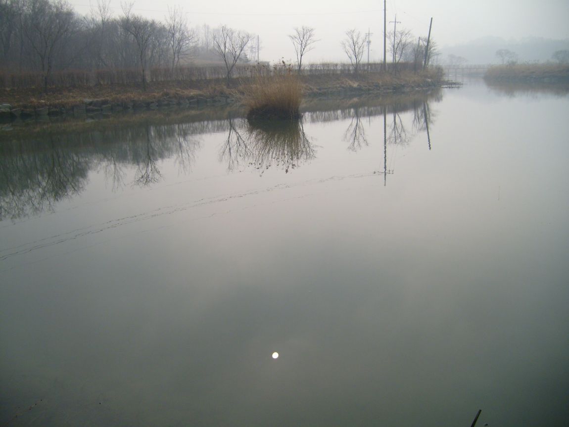 S7001004.JPG