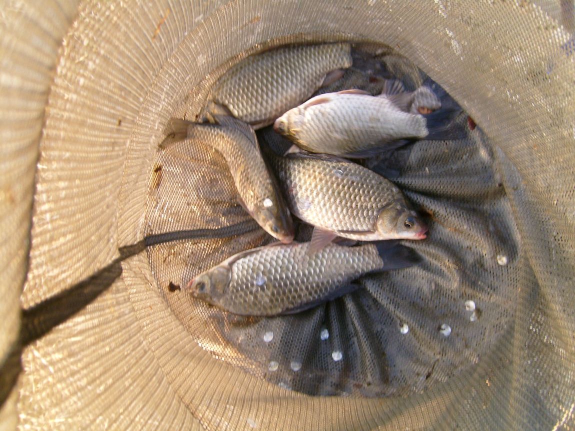 S7001046.JPG