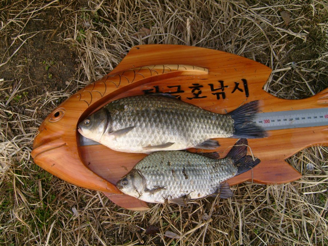 S7001058.JPG