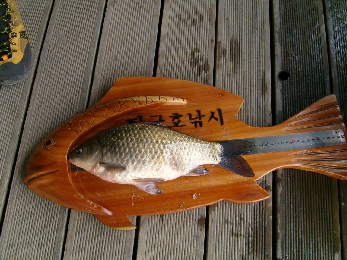 S7001061.JPG