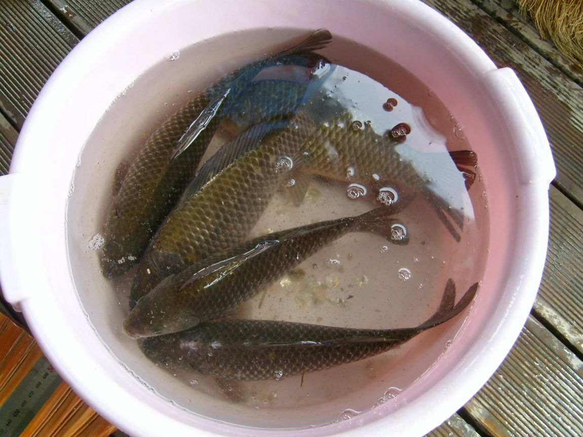 S7001062.JPG