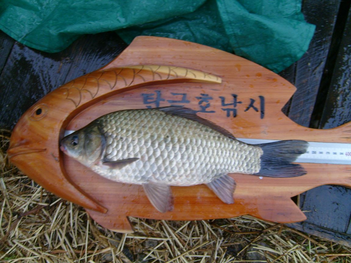 S7001067.JPG