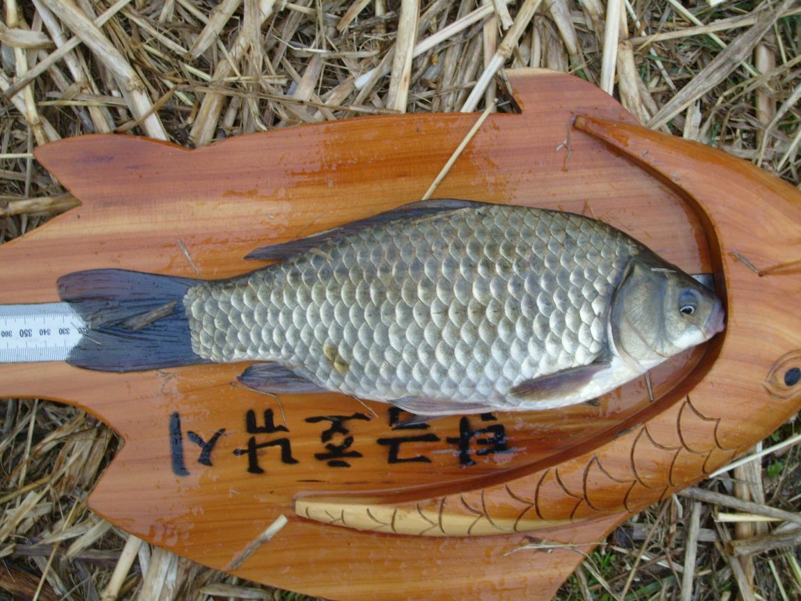 S7001074.JPG