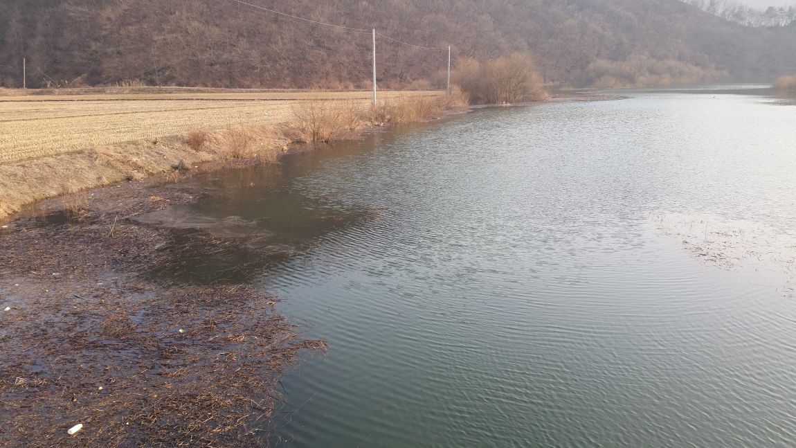 20150316_172147.jpg