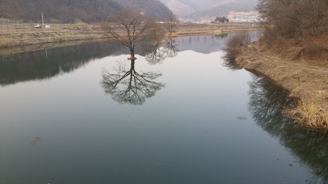 20150318_134216.jpg