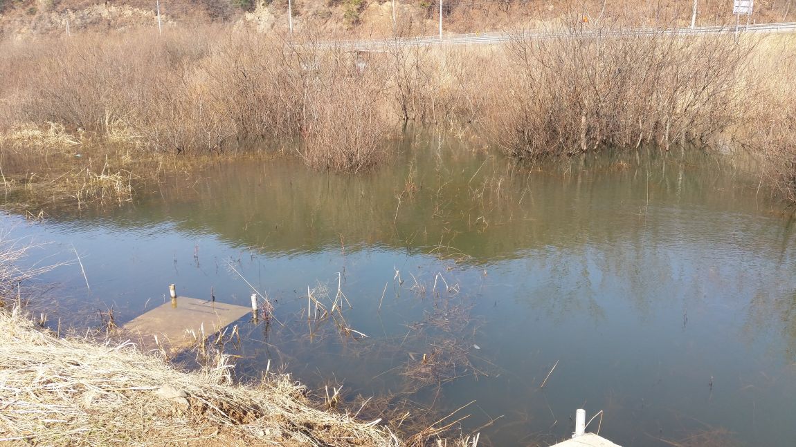 20150319_100313.jpg