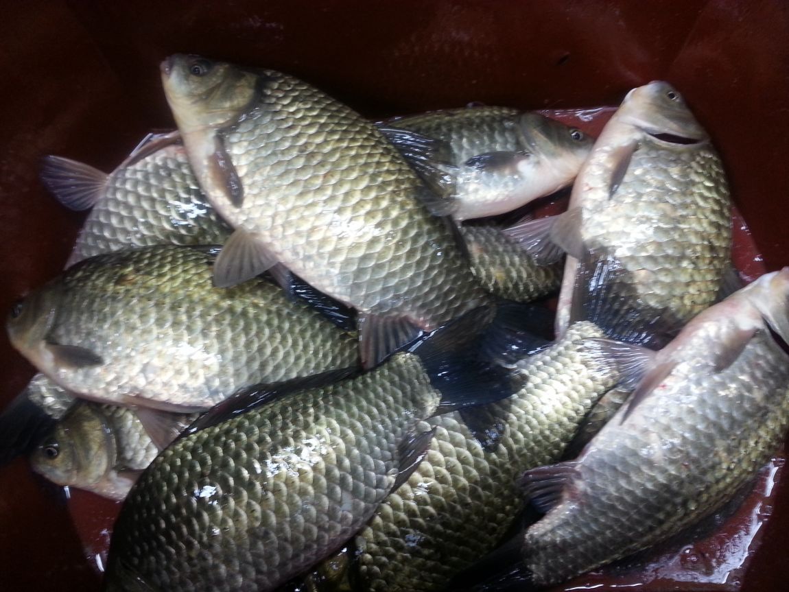 20150317_190553.jpg