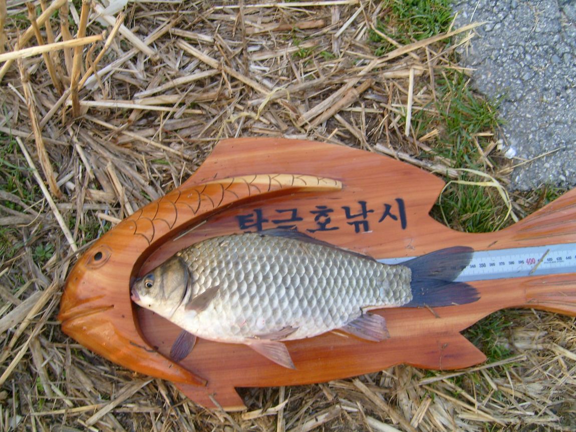 S7001135.JPG