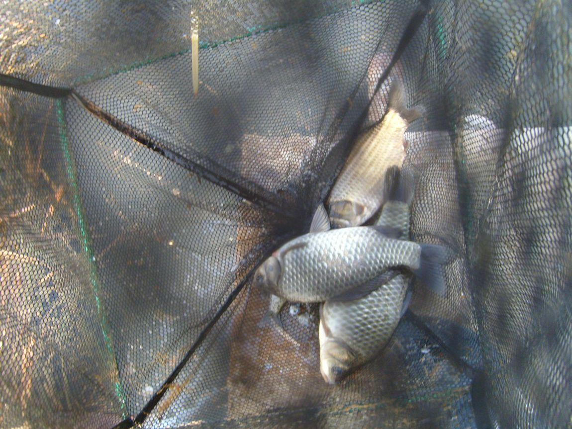 S7001144.JPG