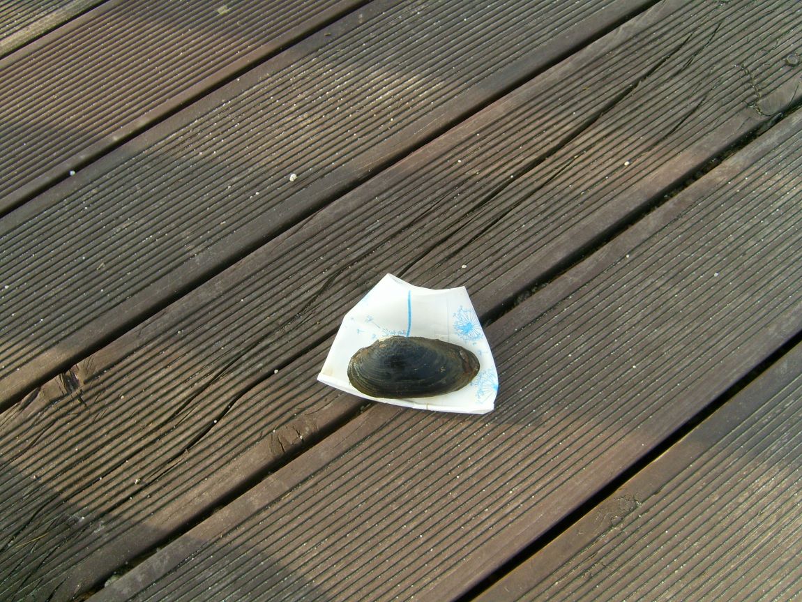 S7001153.JPG