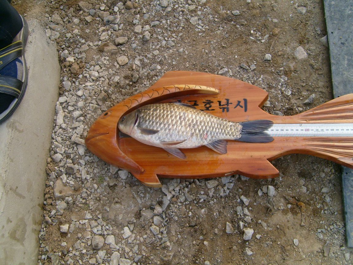 S7001235.JPG