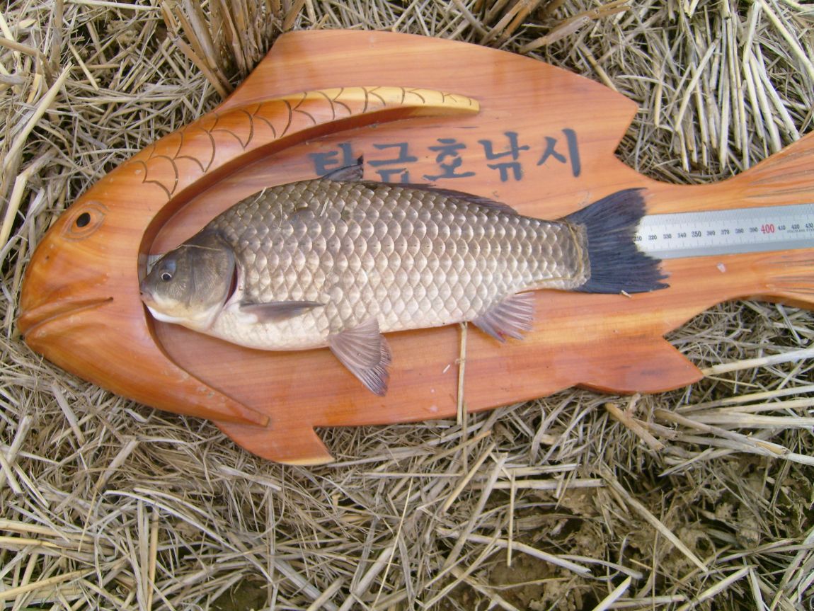 S7001220.JPG
