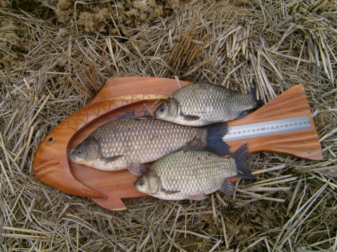 S7001221.JPG