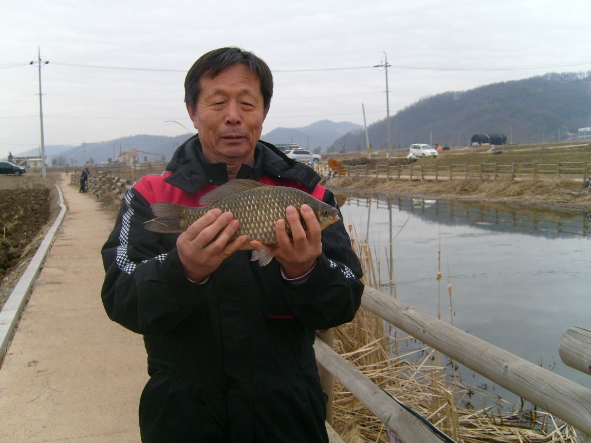 S7001216.JPG