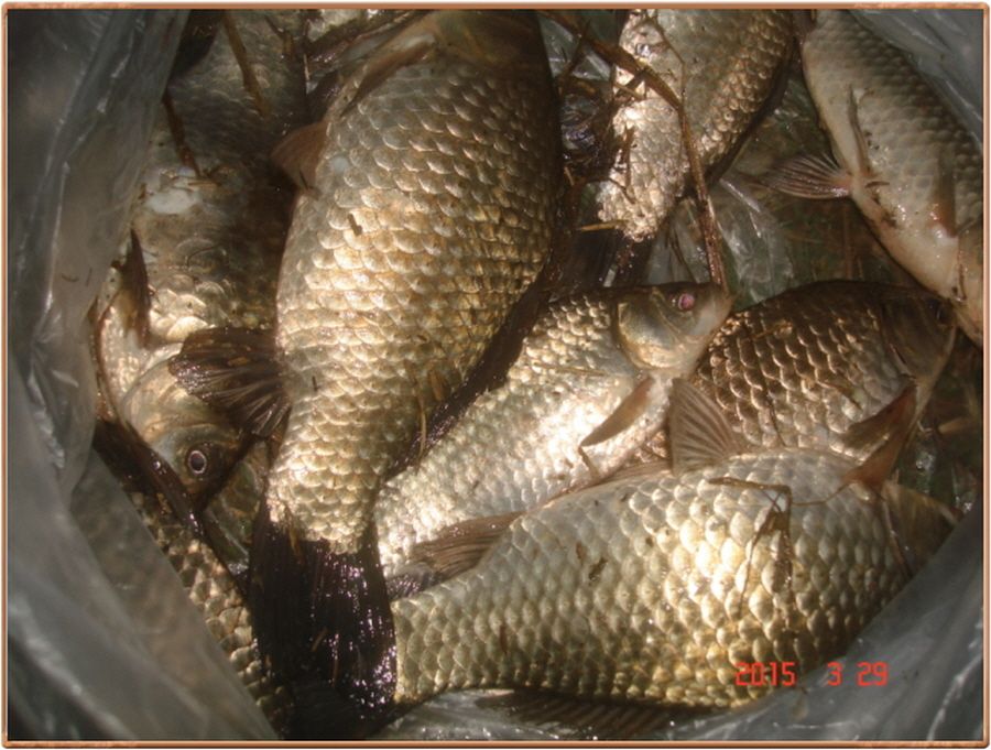 �ٹ̱�_���� 017.jpg