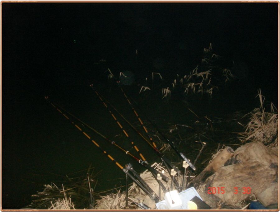 �ٹ̱�_���� 019.jpg