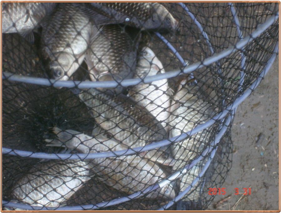 �ٹ̱�_���� 010.jpg