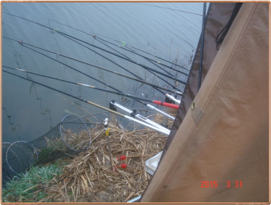 �ٹ̱�_���� 003.jpg