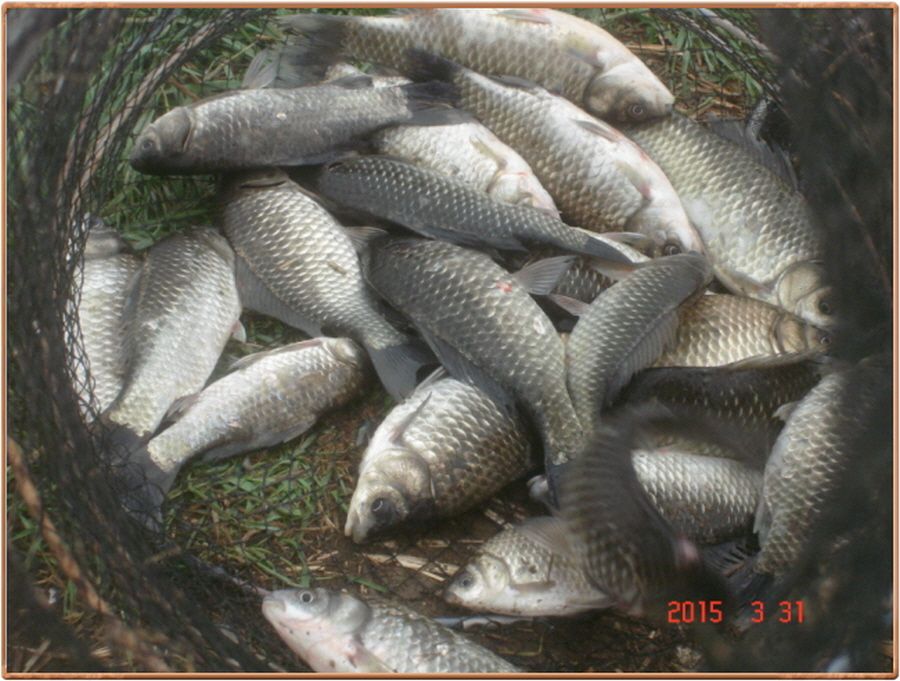 �ٹ̱�_���� 008.jpg