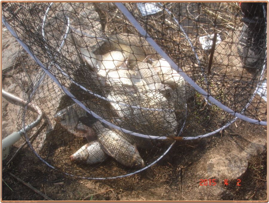 �ٹ̱�_���� 002.jpg