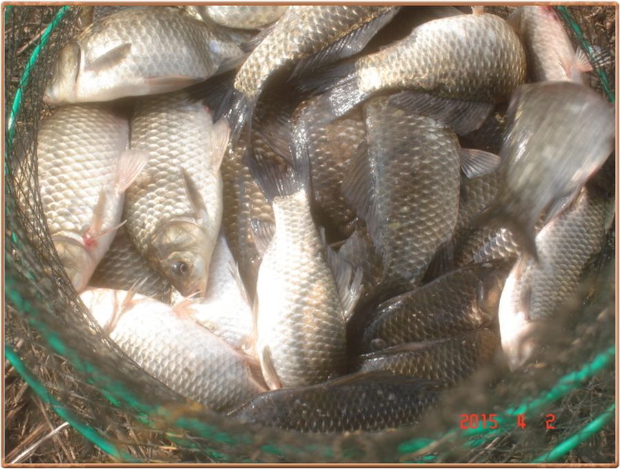 �ٹ̱�_���� 008.jpg