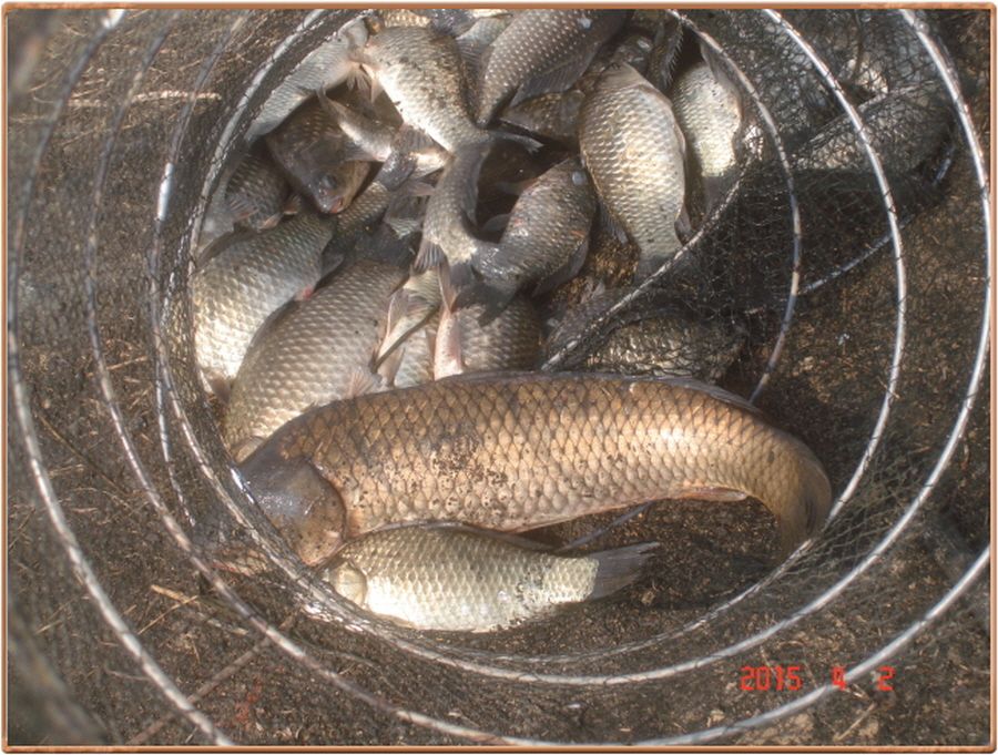 �ٹ̱�_���� 013.jpg