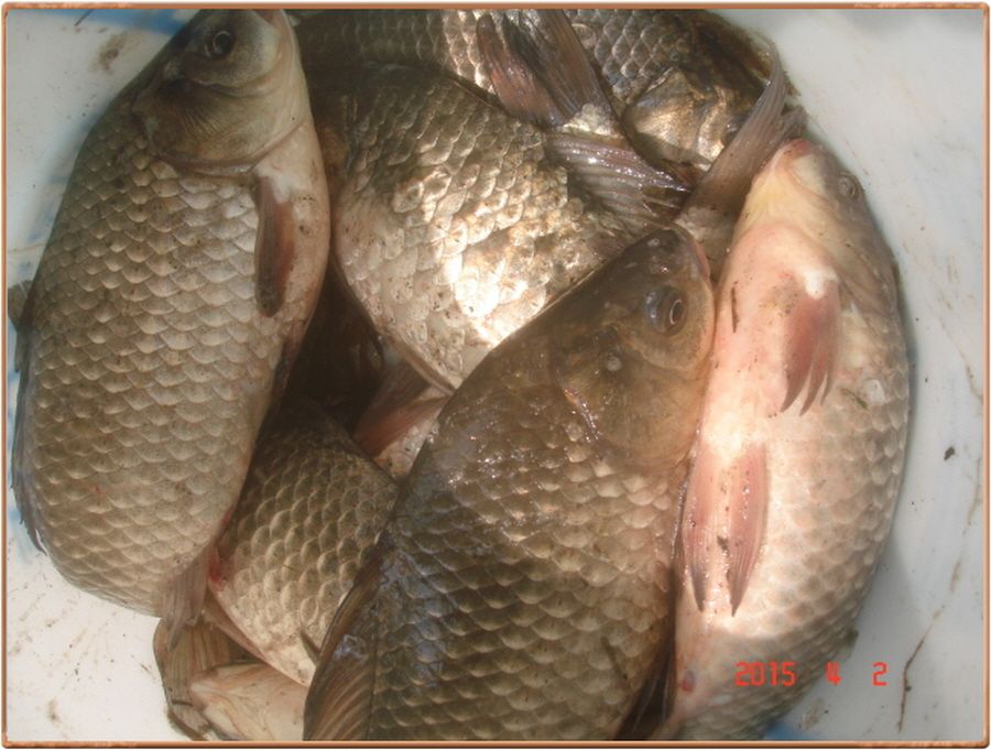 �ٹ̱�_���� 019.jpg