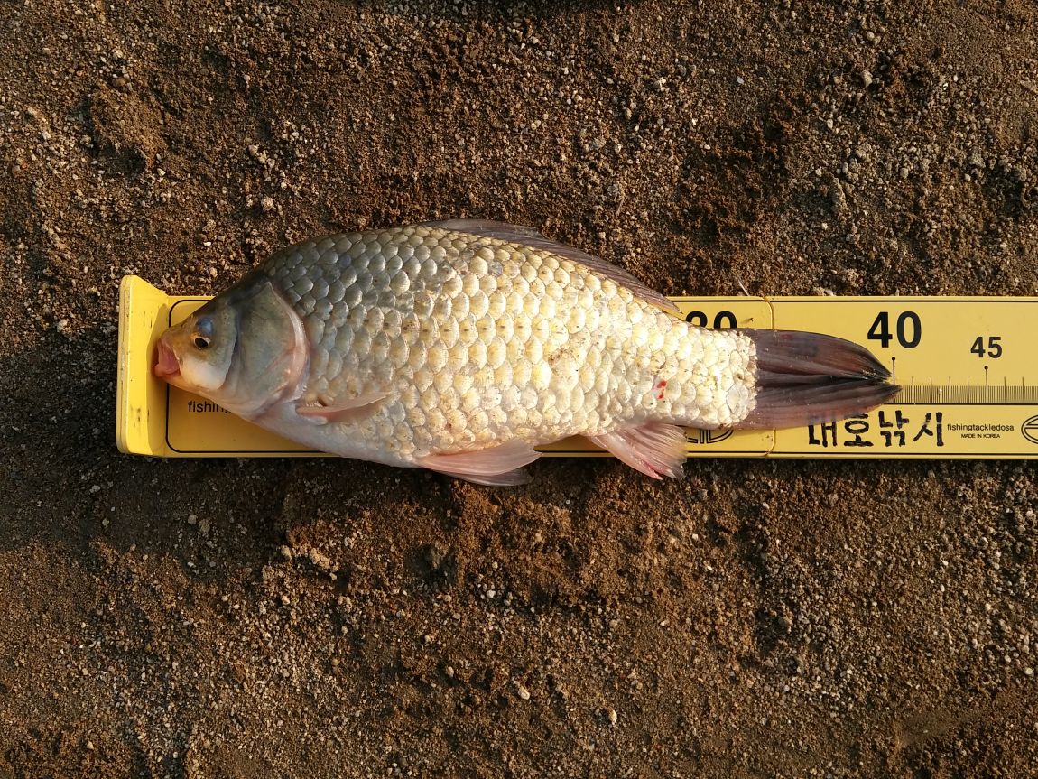 20150402_075235.jpg