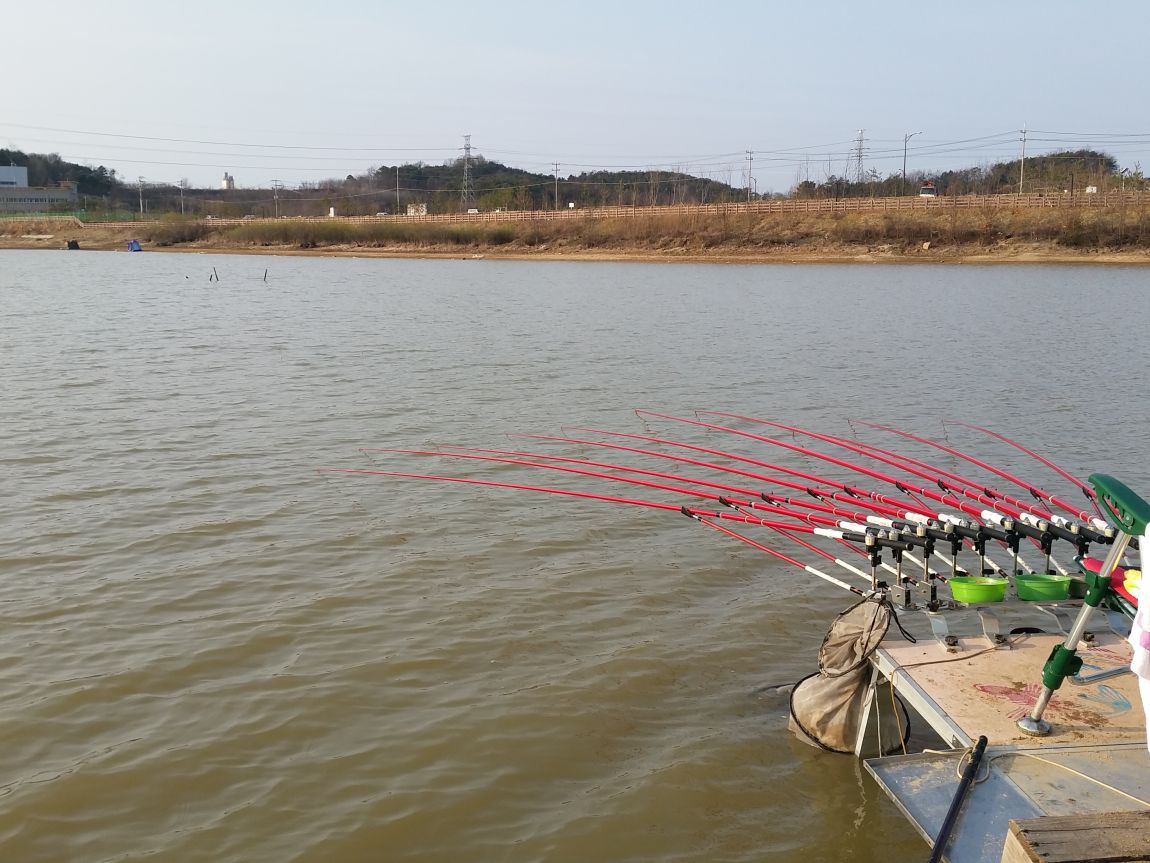20150402_075414.jpg