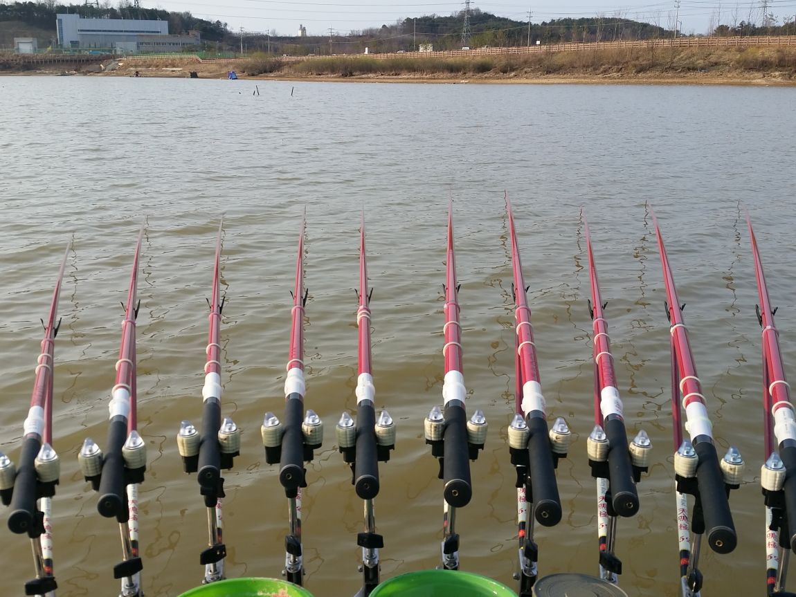 20150402_075431.jpg