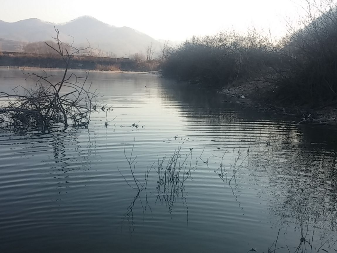 20150325_074535.jpg