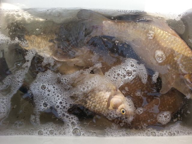 ũ�⺯ȯ_20150330_090054.jpg