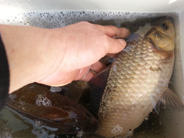 ũ�⺯ȯ_20150330_090117.jpg