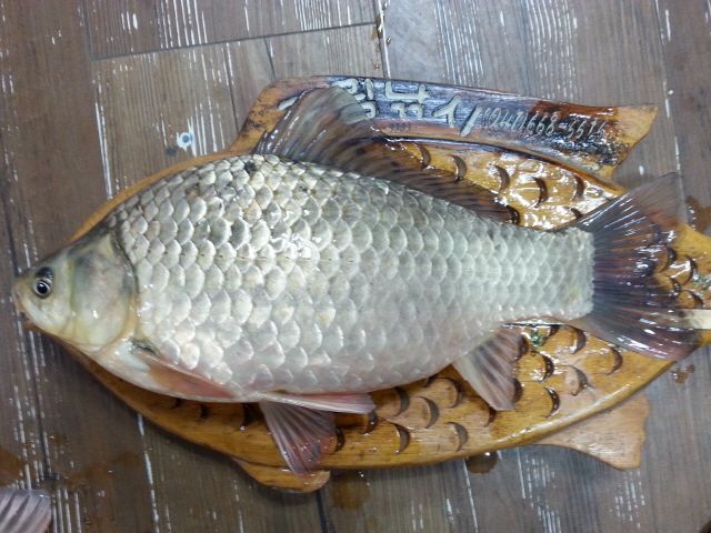 ũ�⺯ȯ_20150404_155246.jpg