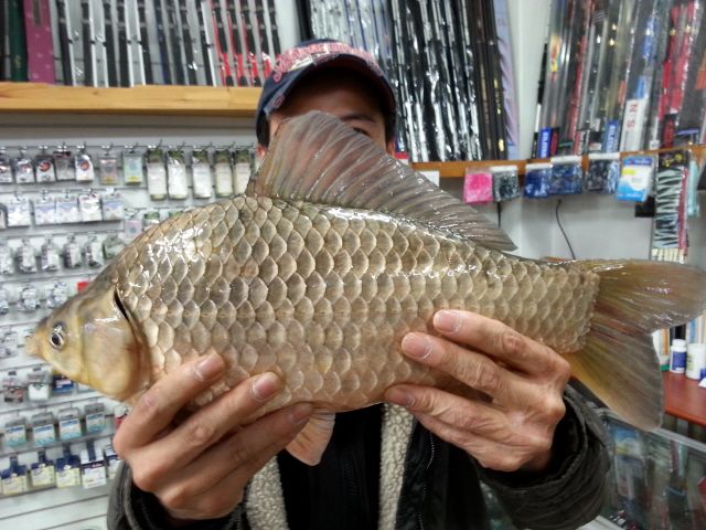 ũ�⺯ȯ_20150404_155446.jpg