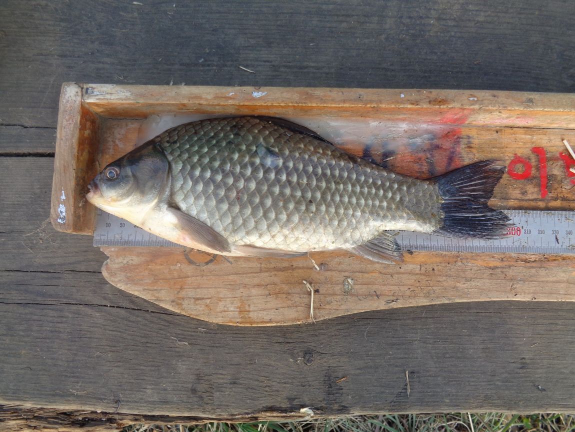 007.JPG