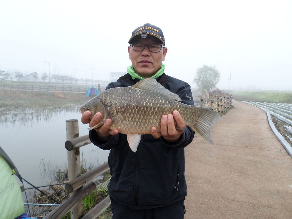 SAM_0137.JPG