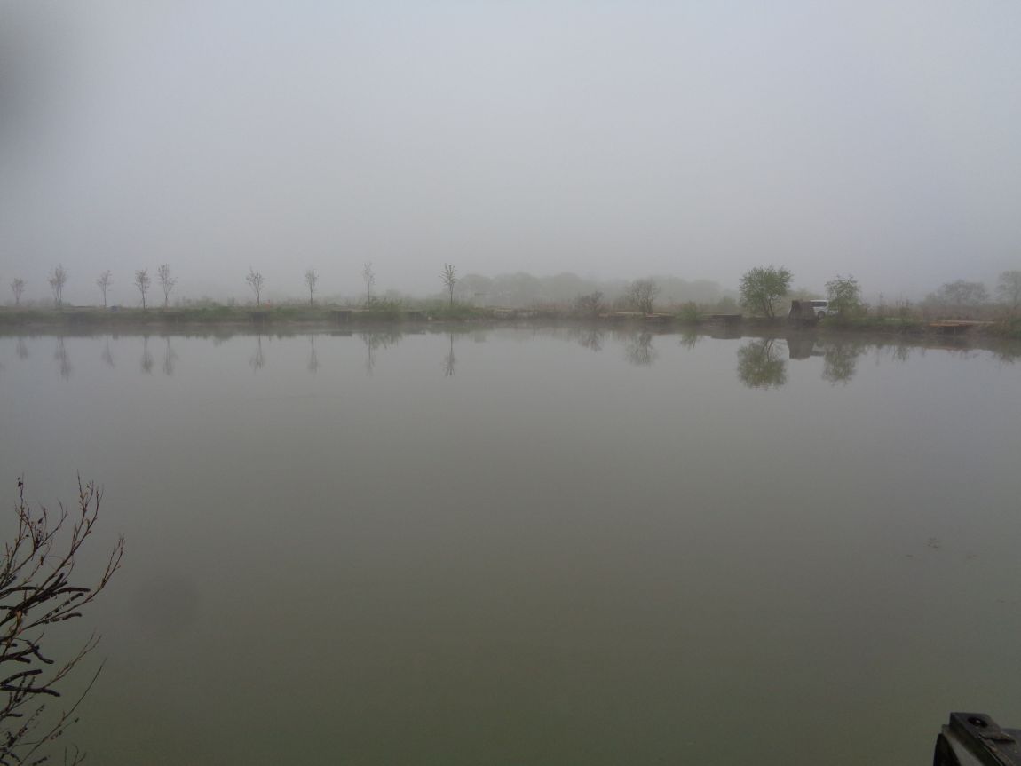 005.JPG