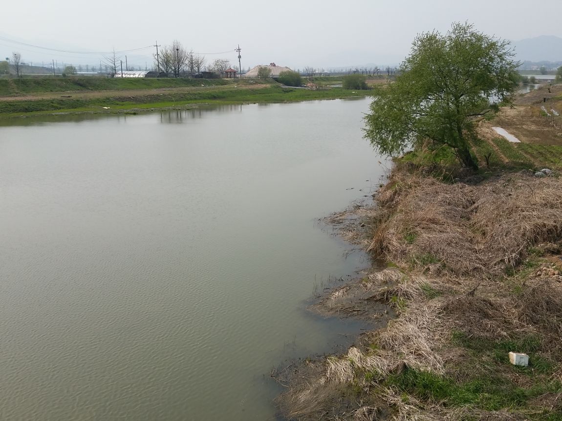 20150422_141205.jpg