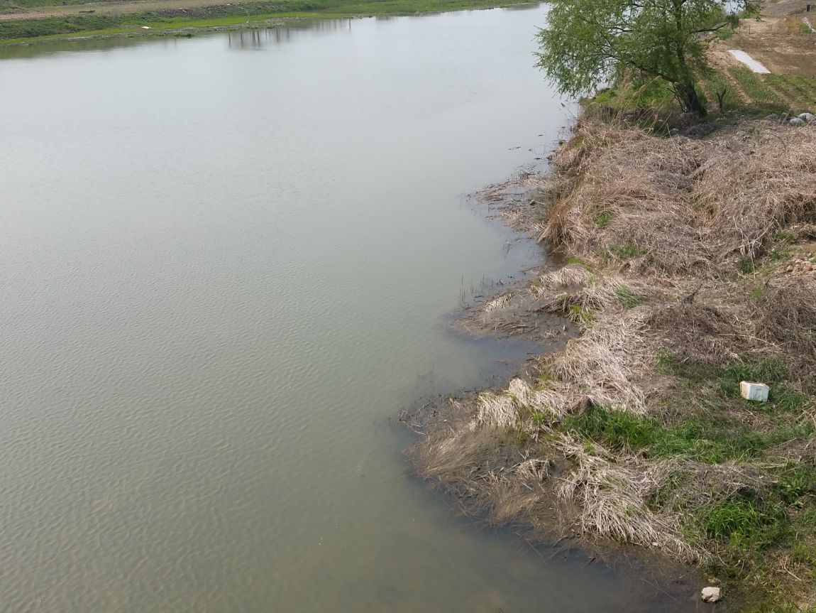 20150422_141208.jpg